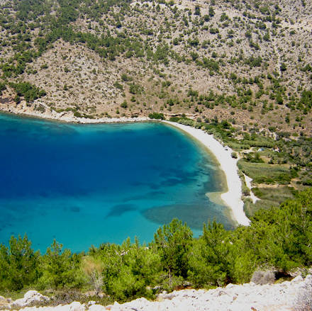 avgonima